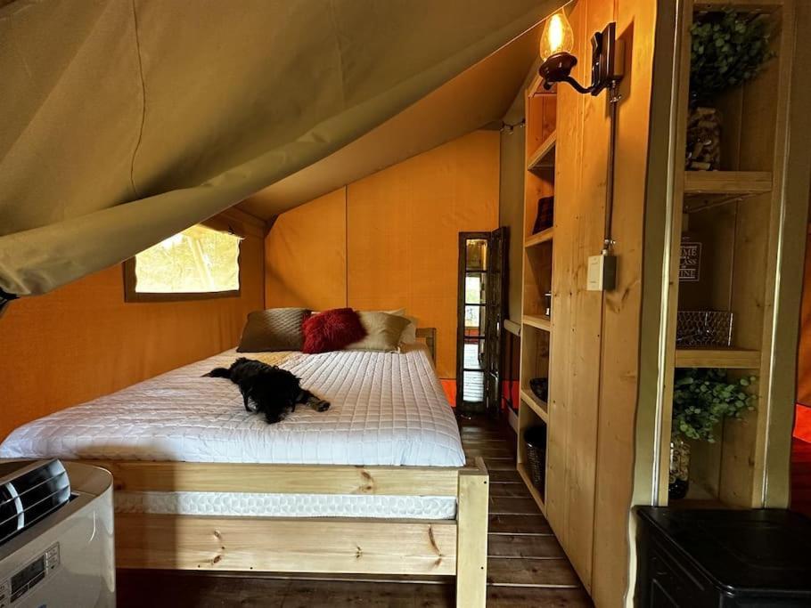 12 Fires Luxury Glamping With Heating #5 Hotel Johnson City Luaran gambar